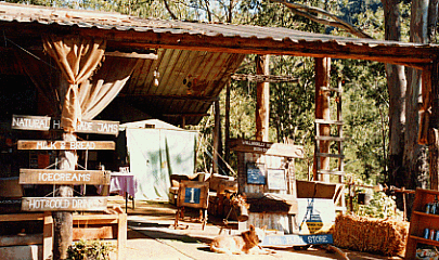 bushstyleoffice.gif